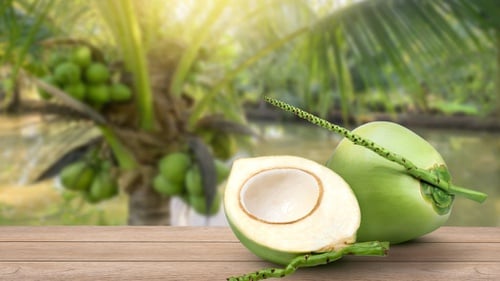 Khasiat buah kelapa untuk kesihatan yang kurang diketahui